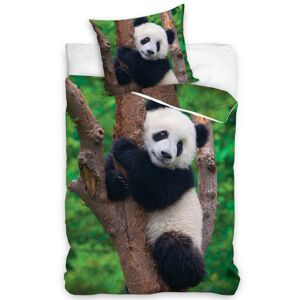 Tiptrade Bavlnené obliečky Medvedík Panda, 140 x 200 cm, 70 x 90 cm