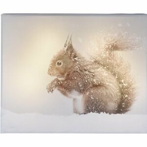 LED Obraz na plátne Animal and snow Squirrel, 20 x 25 cm
