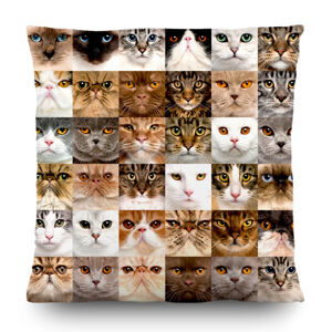 AG Art Vankúšik Cats, 45 x 45 cm
